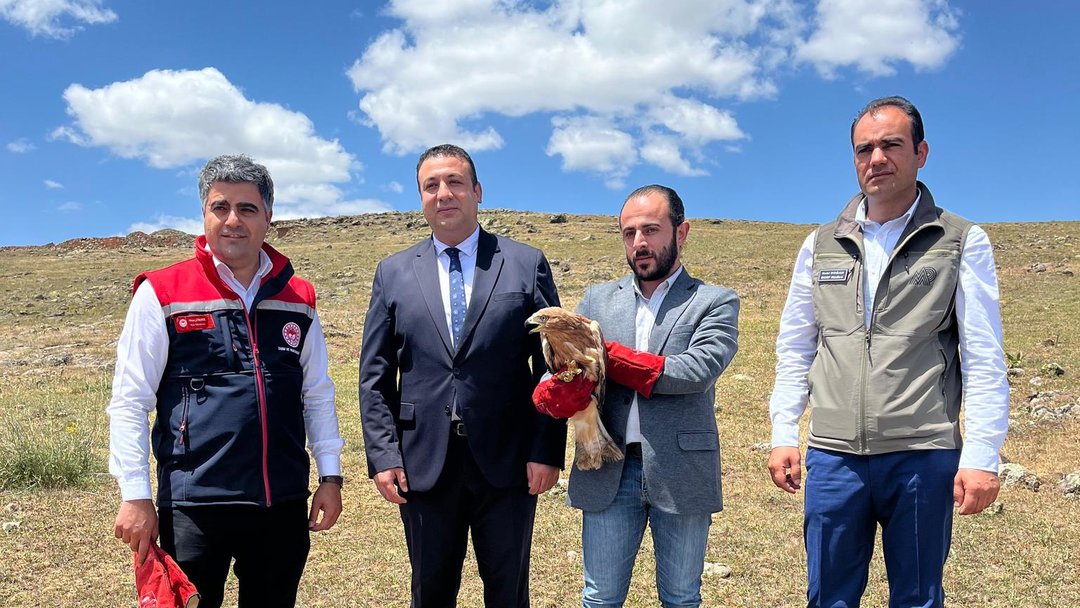 YENİDEN DOĞAYLA BULUŞTURULDU