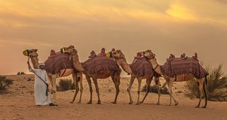 Suudi Arabistan 15,000 Katar devesini sınır dışı etti