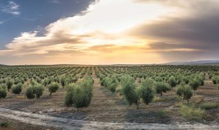 22 milyar dolarlık korku!