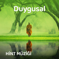 Duygusal Hint Şarkıları
