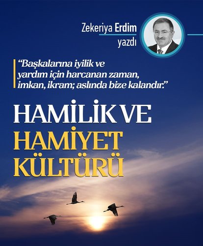 Hamilik ve hamiyet kültürü