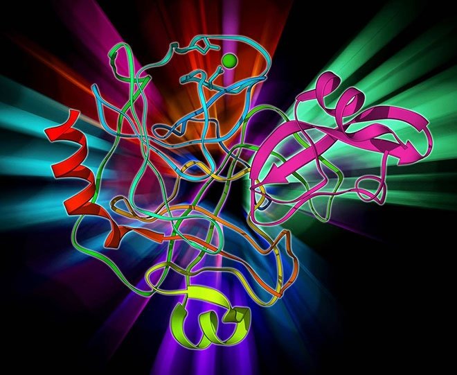 PROTEİN VE AMİNOASİTLER VÜCUDUN ZİNCİRİDİR