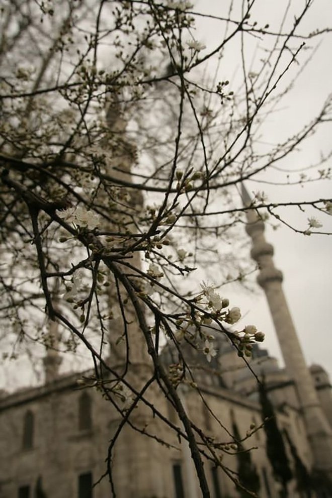 Süleymaniye’nin sırları