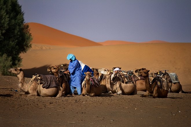 Sahra Çölü’nün gizemli ve kadim sahipleri: Tuaregler