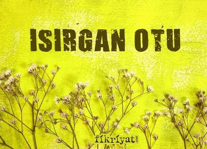 ISIRGAN OTU FAYDALARI