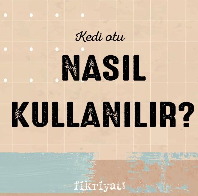 KEDİ OTU NASIL KULLANILIR?