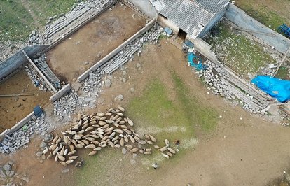 ahrefindextarsimclasstkktLnktargetblankTARSİMadeprembölgesinde11milyonTLhasarödemesi