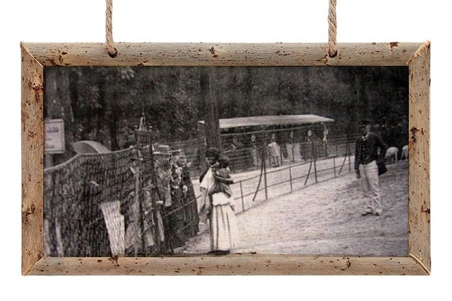 AVRUPA’NIN UTANÇ BAHÇESİ