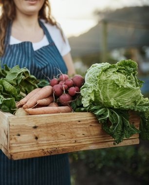 Sürdürülebilir Gastronomi: Çevre Dostu Mutfaklar