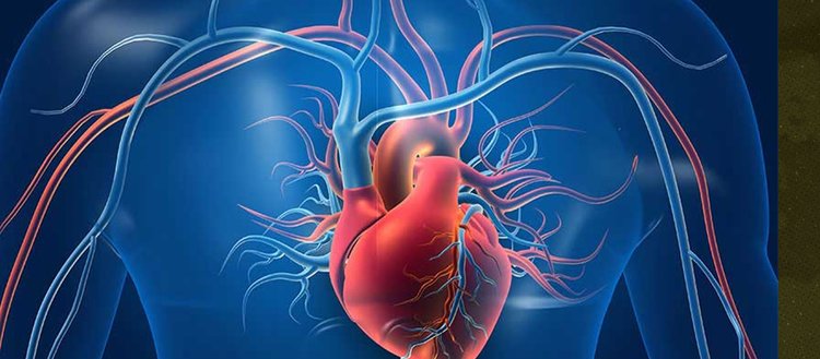 Türk Kardiyoloji Derneği, Kalp Yetersizliğine Blok, Hayata 3 Sayı etkinliği düzenledi