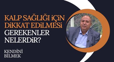 Kalp Sağlığını Etkileyen Faktörler  | Kendini Bilmek