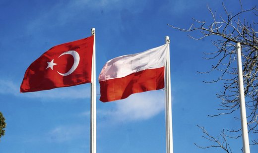 Türkiye-Poland defense industry cooperation necessary: Expert