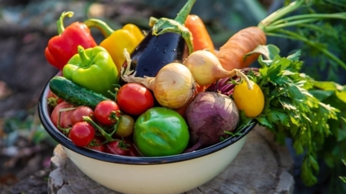 Vegan ve Vejetaryen Beslenmenin Zihinsel ve Fiziksel Yararları