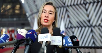 EU calls for ceasefire to ensure protection of civilians in Syria's Idlib