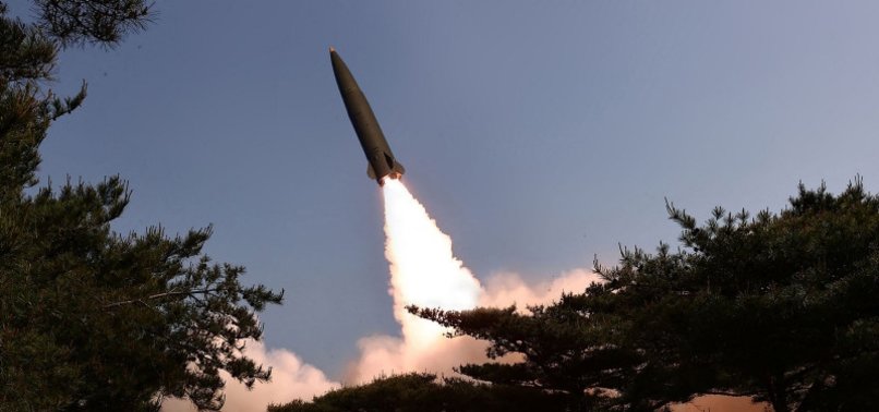 SOUTH KOREA COMPLETES DEVELOPMENT OF LONG-RANGE SURFACE-TO-AIR MISSILE SYSTEM