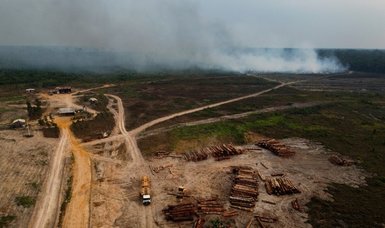 Deforestation in Brazil's Amazon hits September record as fires spike