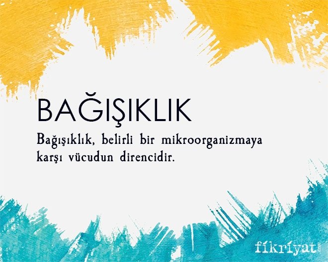 BAĞIŞIKLIK