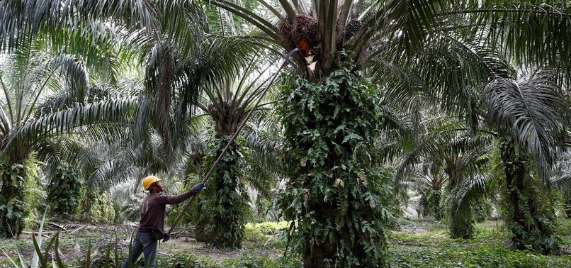 MALAYSIA THREATENS TO BOYCOTT EU FIGHTER JETS OVER PALM OIL