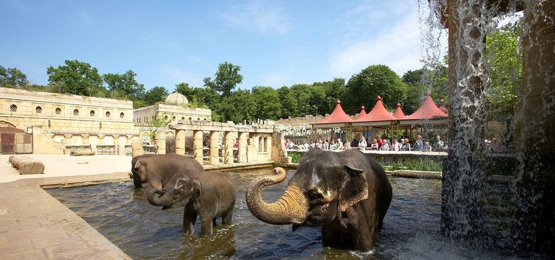 ZOO IN GERMANY KILLS BABOONS, FEEDS THEM TO CARNIVORES
