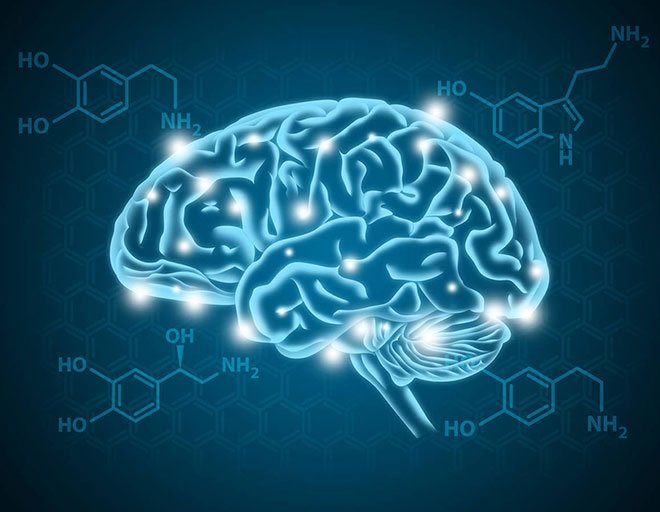 TRİPTOFANIN EN BÜYÜK ETKİSİ RUH HALLERİNE OLUYOR