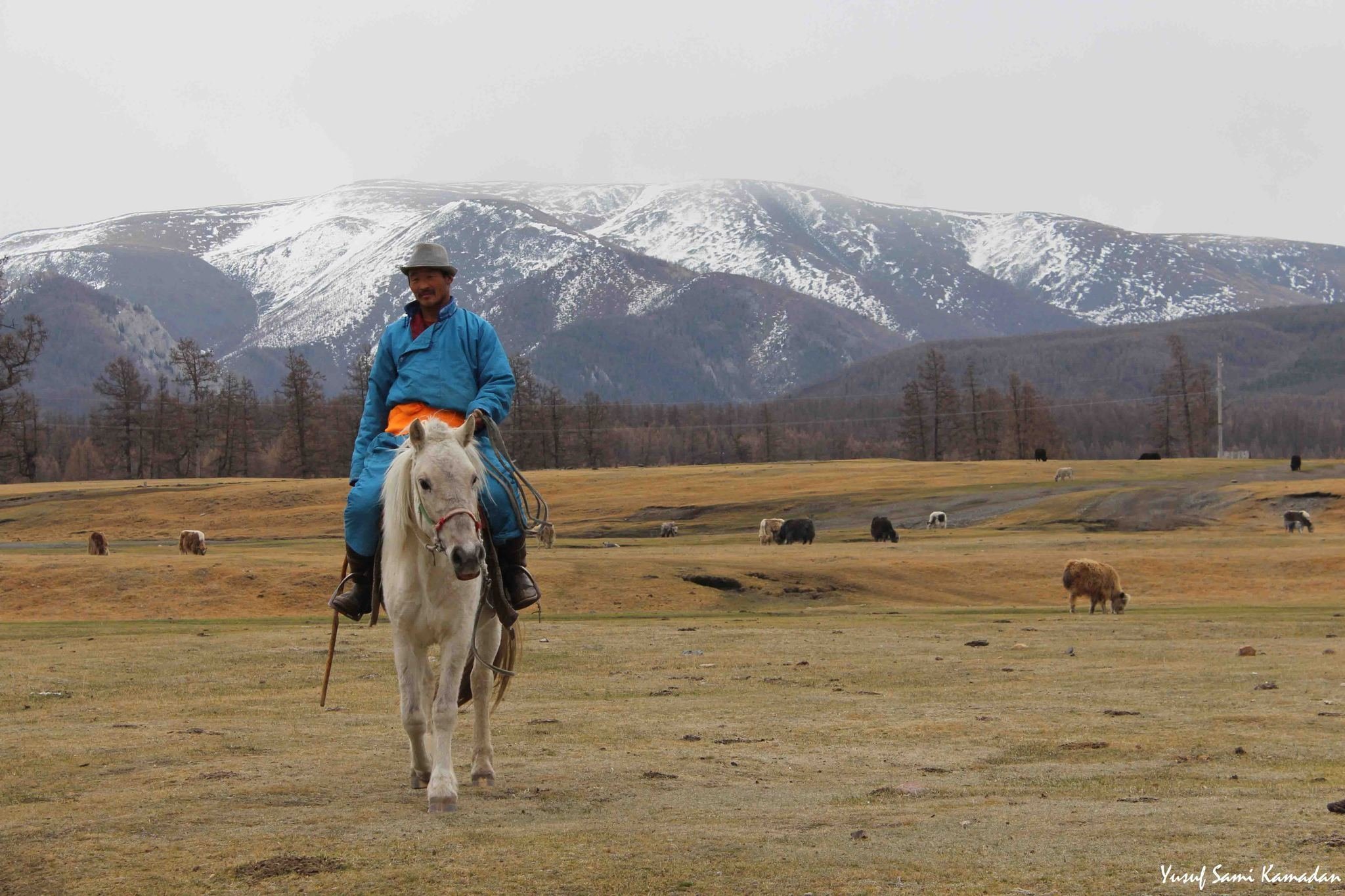 Moğolistan’dan büyüleyici kareler