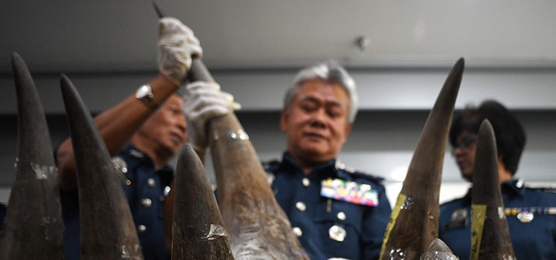 MALAYSIAN OFFICIALS SEIZE 18 RHINO HORNS WORTH $3.1M AT AIRPORT