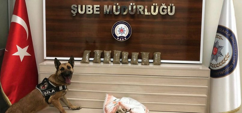 POLICE RAID ILLICIT DRUG LABS IN EASTERN TURKEY