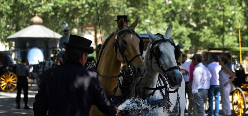 ONE HORSE DIES, ANOTHER COLLAPSES PULLING SEVILLE TOURIST CARRIAGES IN HEATWAVE