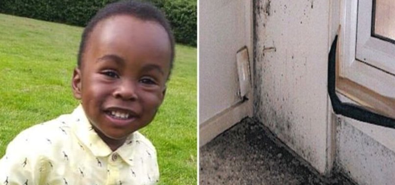 UK: 2-YEAR-OLD’S DEATH CAUSED BY EXPOSURE TO MOLD IN FLAT