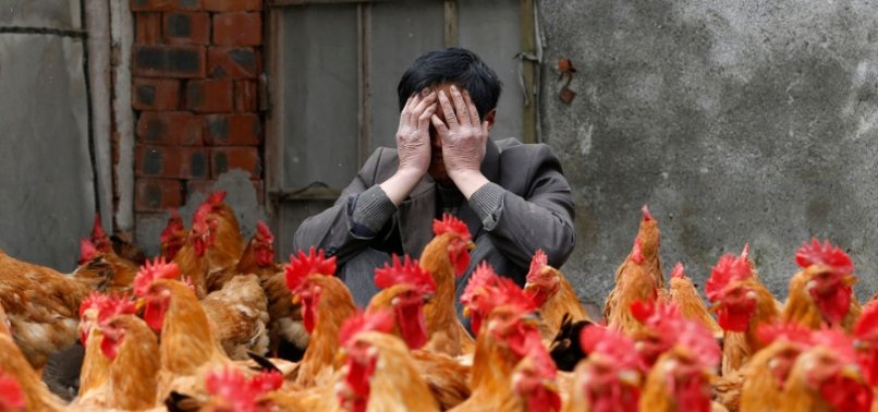 LITHUANIA REPORTS OUTBREAK OF H5N1 BIRD FLU ON FARM, WOAH SAYS