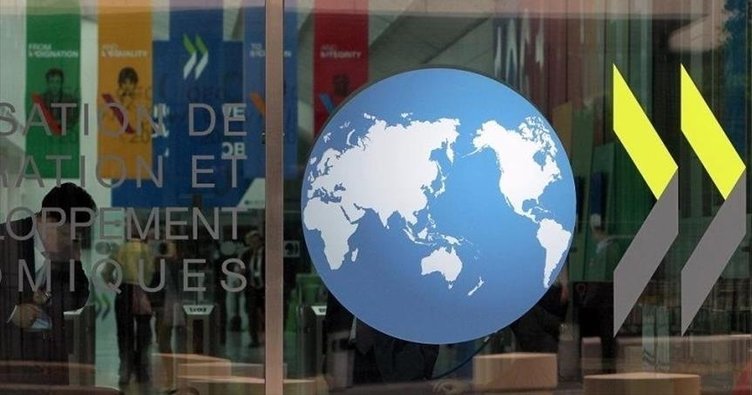 OECD: Yapay zeka yatırımları artmaya devam edecek