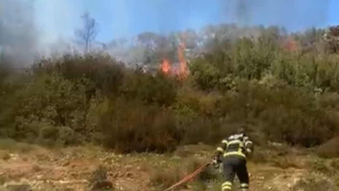MUĞLA’DA ORMAN YANGINI