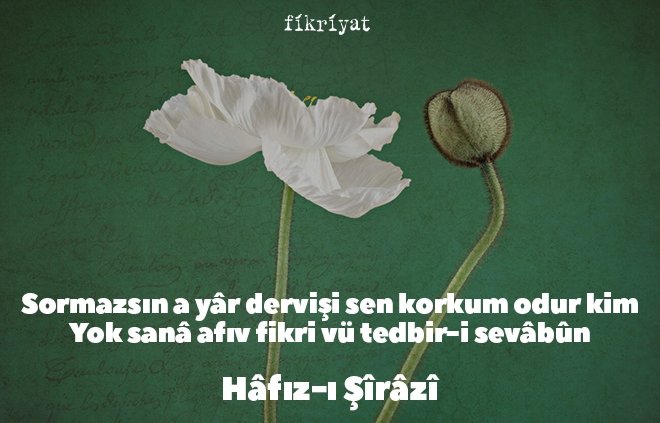 Hafız Divanından Alıntılar