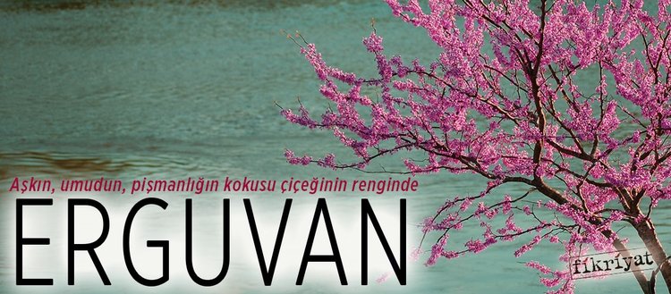 Aşkın, umudun, pişmanlığın kokusu çiçeğinin renginde: Erguvan