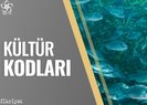 Kültür kodları / VAV TV