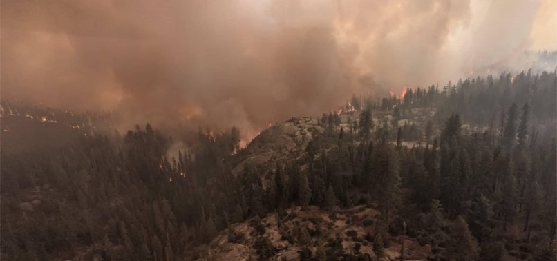 CALIFORNIA FIRES THREATENING GIANT SEQUOIAS EXPECTED TO GROW