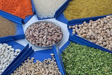 Tarım, gıda ve içecek sektöründen 2025’te 27,79 milyar dolarlık ihracat