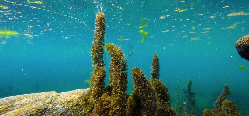 MOUNT ARARAT LAKES A HEAVEN FOR DIVERS