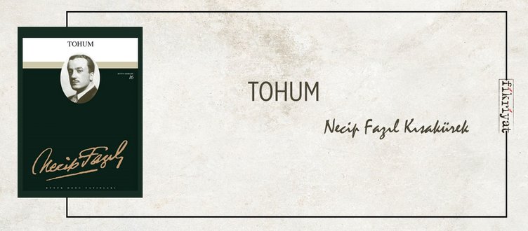 TOHUM