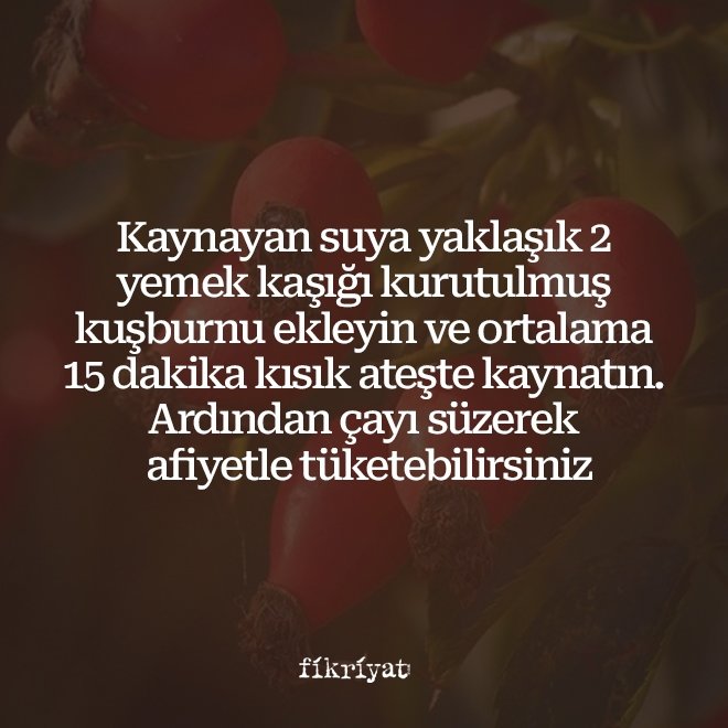 KUŞBURNU