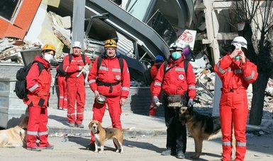 Romanian rescue team tried its 'best' to save people in quake-hit Türkiye: Team leader