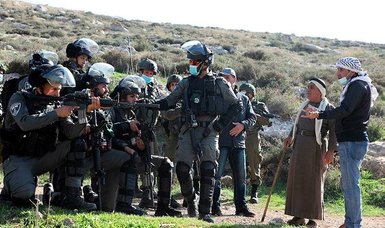 Israeli forces arrest 17 Palestinians, uproot olive trees in occupied West Bank