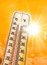 Avrupa'da Aşırı Sıcaklar Can Alıyor