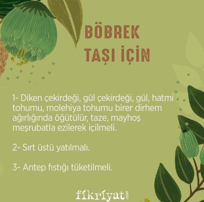 BÖBREK TAŞI İÇİN NE YAPILMALI?