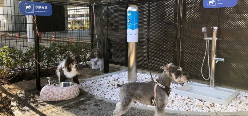 JAPANESE AIRPORT INTRODUCES FIRST BATHROOM FOR TRAVELING DOGS