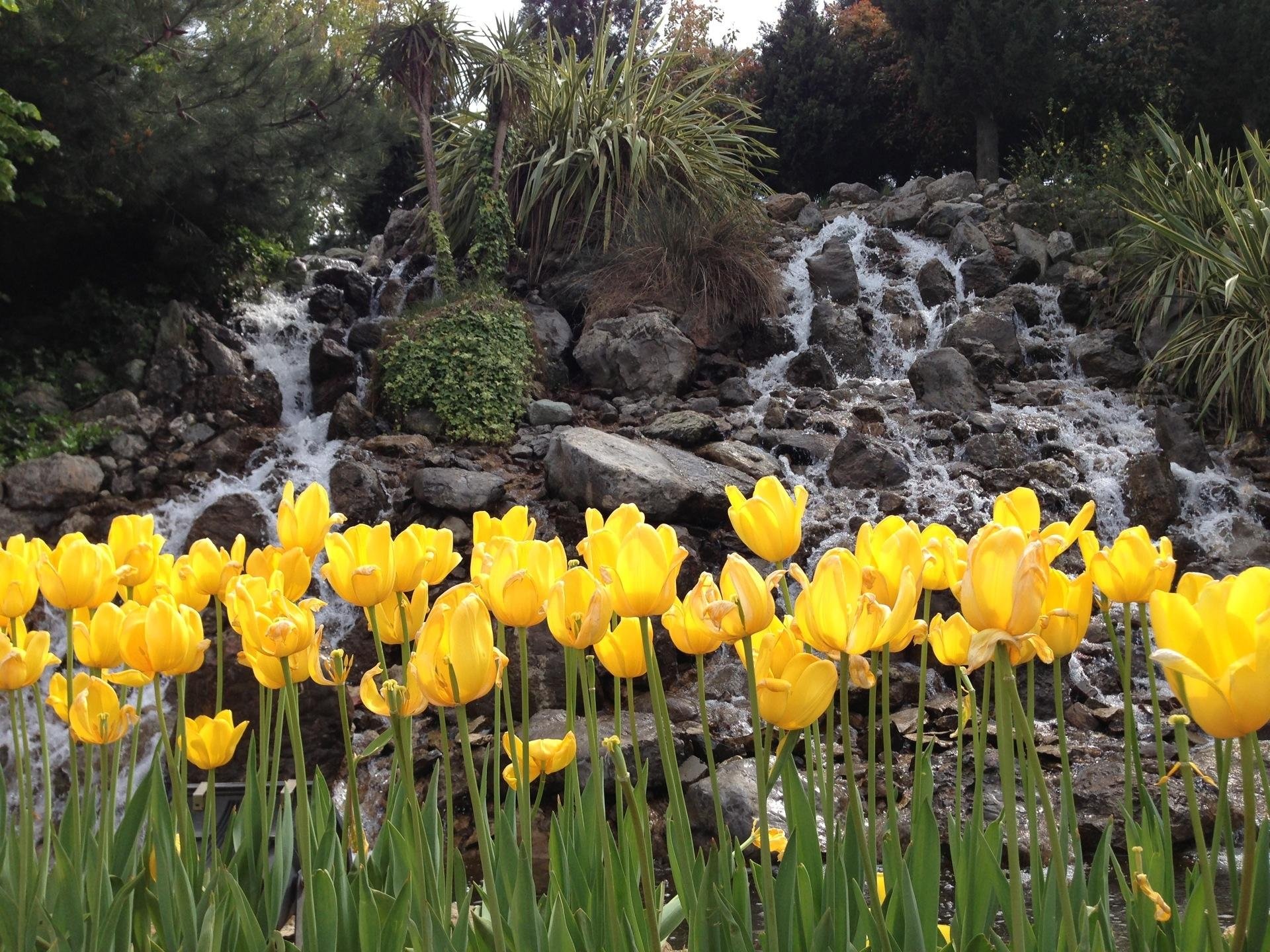 İstanbul Boğazının Balkonları Korular