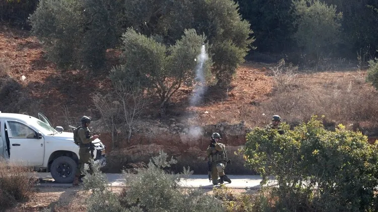 Genocidal Israeli forces intervened against Palestinians trying to harvest olives in the West Bank