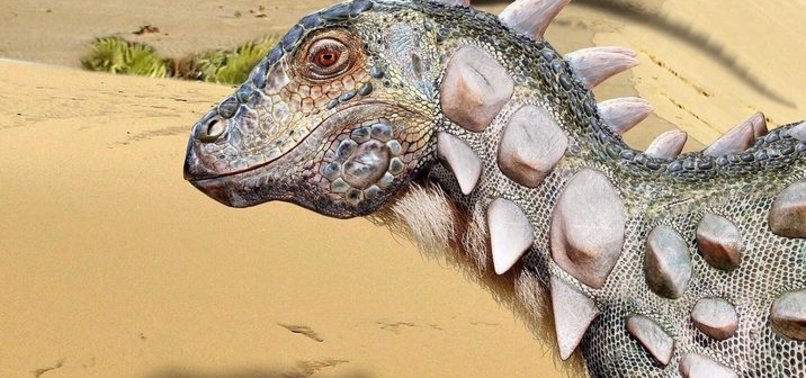 ARMORED DINOSAUR DISCOVERED IN ARGENTINA, THIS IS HOW IT LOOKS LIKE