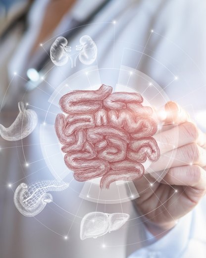 Bağırsak sağlığına iyi gelen şeyler