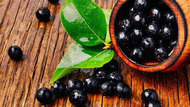 Aronya Meyvesi Nedir?